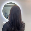 살롱드 봄 헤어 이미지