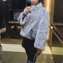 롱앤숏 | 진도모피 엘페 휘메일 풀스킨 숏자켓 그레이 91사이즈 내돈내산 리뷰