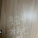 더뉴홈케어 네이버블로그