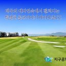 마이오 이미지