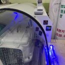 소망동물병원 | 위드펫동물병원: 노령견 안티에이징 줄기세포 치료