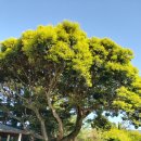 기동농장 이미지