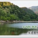 수신낚시터 이미지