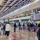 문배동육칼 김포공항점 | 김포공항 국내선 맛집 추천과 솔직 후기 공항 안에서 한 끼 해결