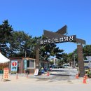 태안별빛오토캠핑장 티스토리