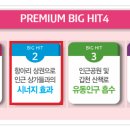 레이크힐Ⅰ 네이버블로그