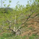 천지인농장 이미지