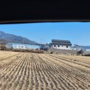 [강화도 여행] 강화도 1박2일 가족여행 1일차 추천코스(feat. 강화풍물시장, 보문사, 외포항 수산물...