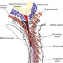 24시 청주이음동물의료센터 이미지