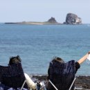 New제주약국 이미지