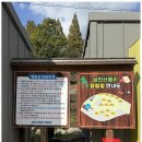 삼인산밸리캠핑장 | 담양캠핑 자연 속 진정한 쉼, 삼인산 밸리 캠핑장 후기