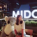 호텔미드시티 명동(HOTEL MIDCITY Myeongdong) | 명동 호텔 루프탑이 예쁜 호텔미드시티명동