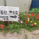 자연아놀자박물관 이미지