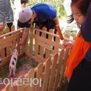풍원목장 투어코리아