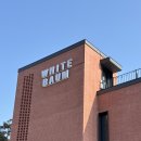 [용인/처인구] 처인구 카페 에버랜드 카페 화이트바움 WHITEBAUM 후기