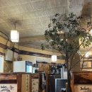 민속마을탱자나무 이미지