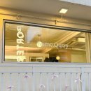 큐리애견 이미지