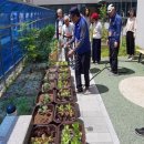 수정구보건소 치매안심센터 이미지