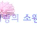 신지지 이미지