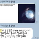 윤성진 안과/외과 동물병원 이미지