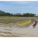 건일농장 이미지