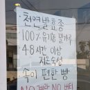 제주백마투어 주식회사 | 제주 빵투어 추천 | 백마베이크 초코바게트 후기