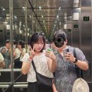 호주 시드니 8일차|세인트 메리 대성당 ,오페라하우스 '그레이트 오페라 히트' 관람후기 및 예약