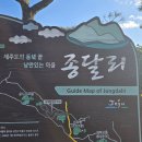 1218 - 1220 제주도 뚜벅이 혼여행 2탄 ② : 모뉴에트, 종달리 746, 월정리해수욕장, 달이뜨는식탁...