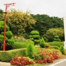 예당관광지 B-야영장 이미지