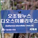 오조 티스토리