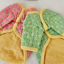 클라라애견 이미지