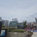 크린프랜드 이미지