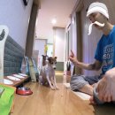 놀아보개 이미지