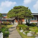 소나무풍경 이미지