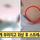 돌려차기태권도 이미지