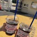 강남역 900원 커피 가성비 디저트 카페 영커피 역삼점 방문 후기
