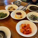 부산 미슐랭 맛집 금수복국 해운대본점 은복국 맑은탕 후기