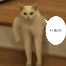 피렌체투어 이미지