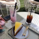 Cafe in Garden 이미지