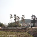 서정어린이집 이미지