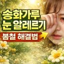 송탄성모안과의원 네이버블로그