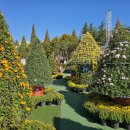 어양동-10 이미지