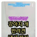팻살롱