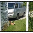 새들펜션민박 이미지