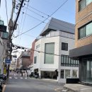 저기커피로스터스 | 신사역 카페 히트커피 로스터스 내돈내산 솔직후기