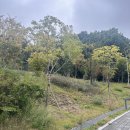 포레스타1공인중개사사무소 이미지