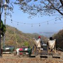 게으른 악어 이미지