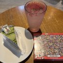 핑크팝 | 스타벅스 신메뉴 월리 레드벨벳 치즈 케이크 핑크팝 캐모마일 릴렉서 내돈내산 후기