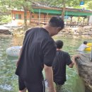 황토향기민박
