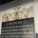초램양고기 - 통영시 죽림5로 55-61 | [충주] 무학시장 양꼬치 찐맛집 "원조초램양고기꼬치" 후기(+주차, 가격, 추천메뉴)